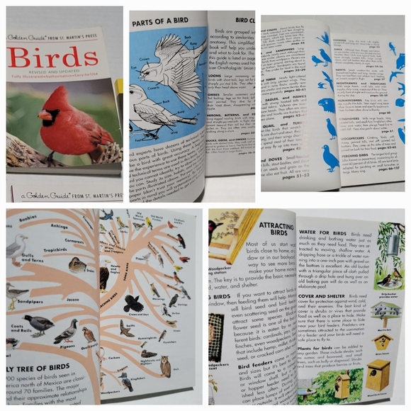 Set of 7 GOLDEN PRESS NATURE / SCIENCE GUIDES Insects, Trees, Birds, Wildflowers - Picture 7 of 10